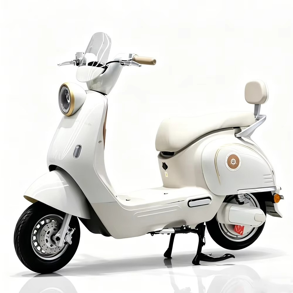 EER Adult electric motorcycle  - Brake Disc Motorcycle recension och pris